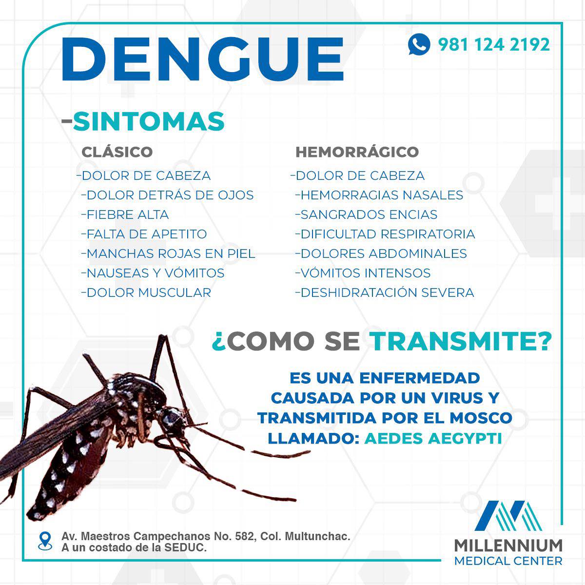 El Dengue